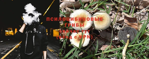a pvp Алексин