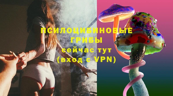 винт Алзамай