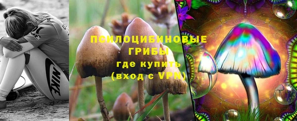винт Алзамай