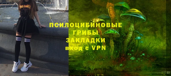 a pvp Алексин