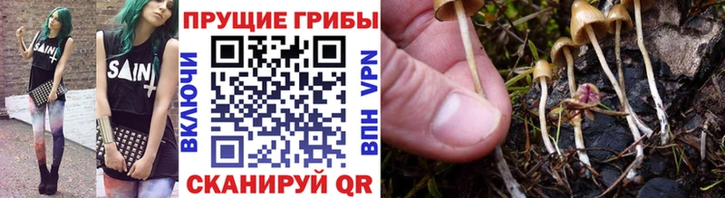 Галлюциногенные грибы Cubensis  купить   Любим 